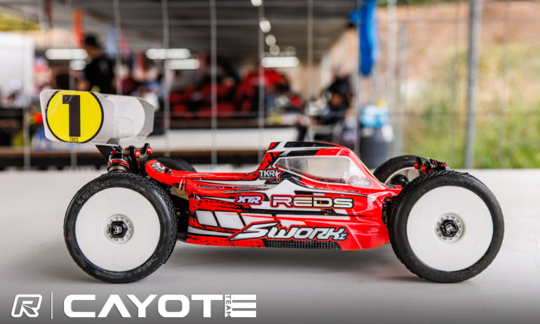 Sworkz S35-4E (Evo) Electric Buggy Complete Bearing Kit