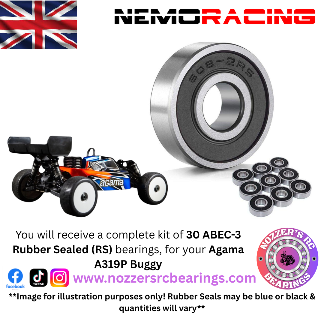 Nemo Racing Agama A319P Buggy Complete Bearing Kit