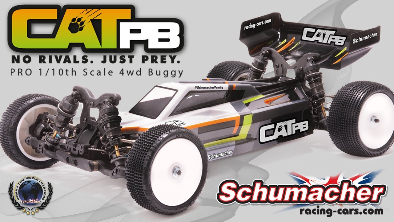 Schumacher CAT PB Mod Spec Complete Bearing Kit